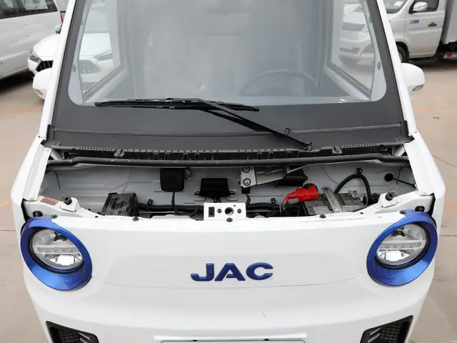JAC Kala