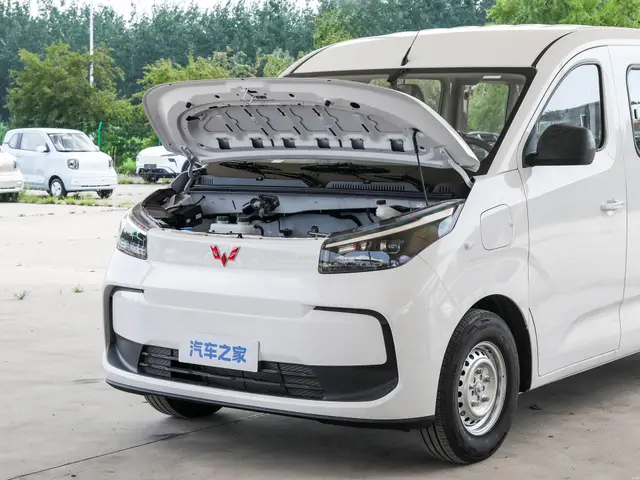 Wuling Yangguang Pro
