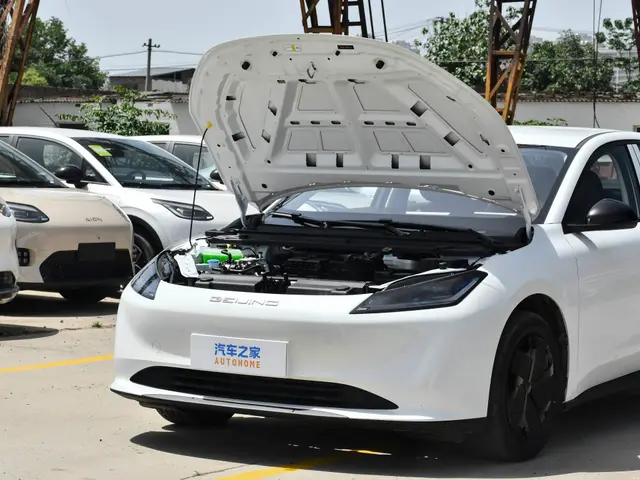 BAIC EU8