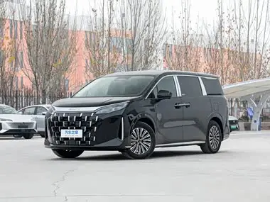 BYD M9