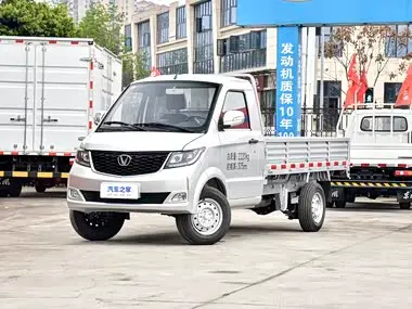 Chenggong Zebra