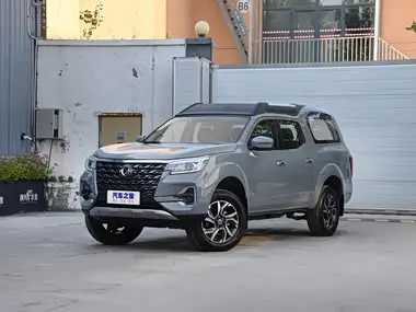 Dongfeng Palasso