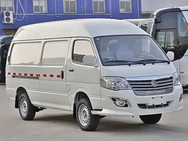 Golden Dragon Haishi NEV