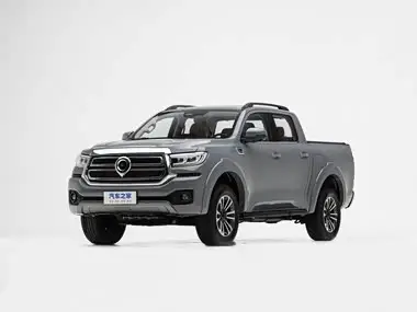 GWM Poer NEV