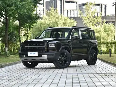 Haval Menglong NEV