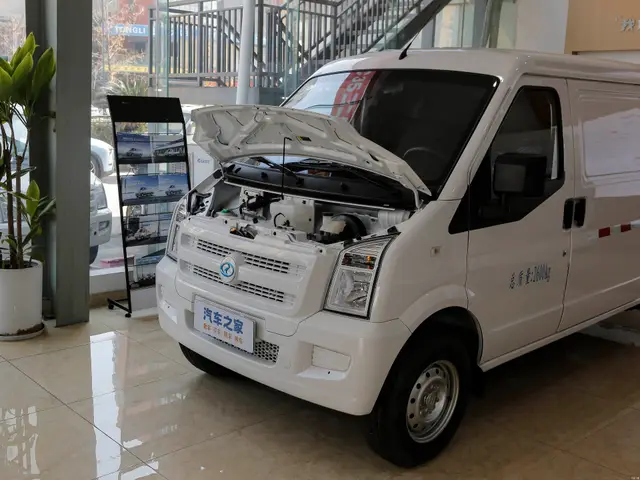 Ruichi EC35 NEV