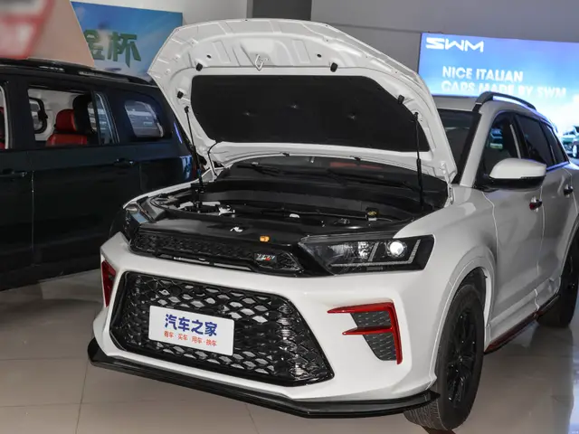 SWM G01FF