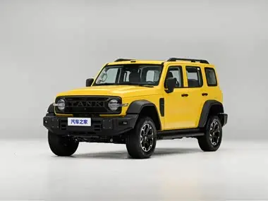 Tank 300L NEV