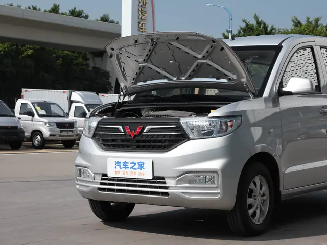 Wuling Hongguang V
