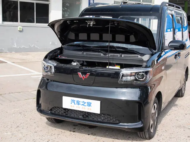 Wuling Zhiguang NEV
