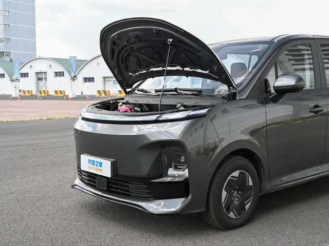 Xinyuan Xiangshang V6 NEV
