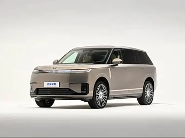 Xpeng GX