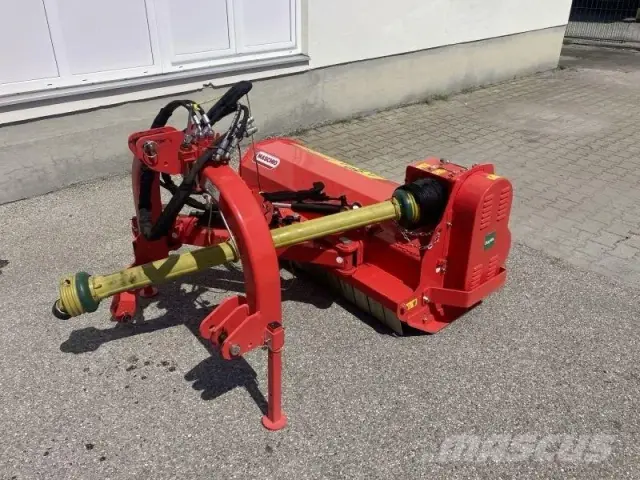 Maschio Giraffa