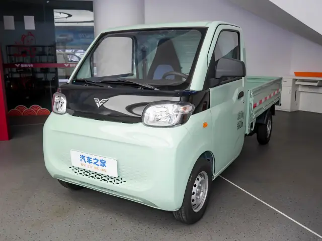 Leichi Leichi Ren T10