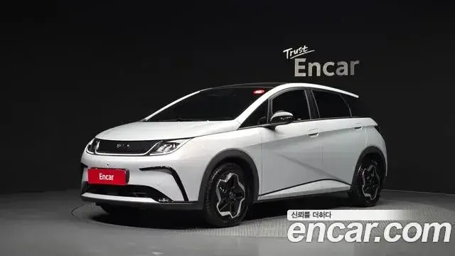 BYD Dolphin