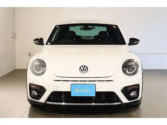 Volkswagen the Beetle