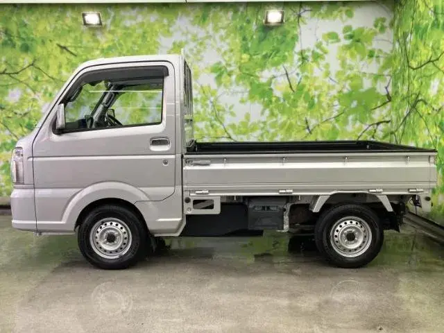 Suzuki Carry